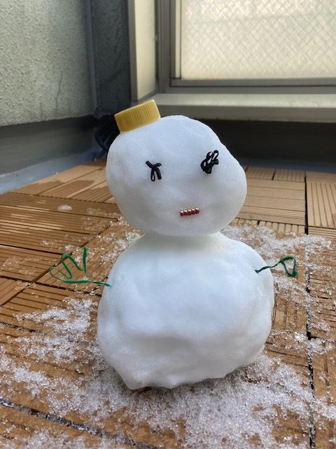 雪～一夜明けて